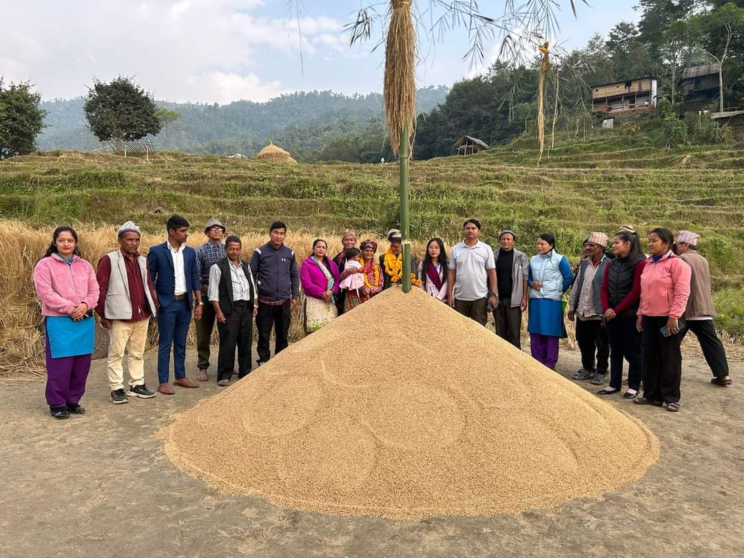 FB_IMG_1732719639550