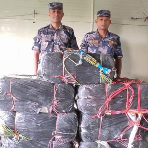मोरङको जहदामा धानबारीबाट २१० किलो गाँजा बरामद